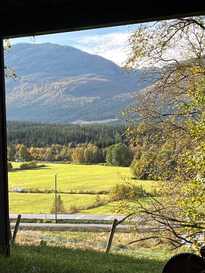 Tommen'S Crib Apartment Hemsedal Exterior foto